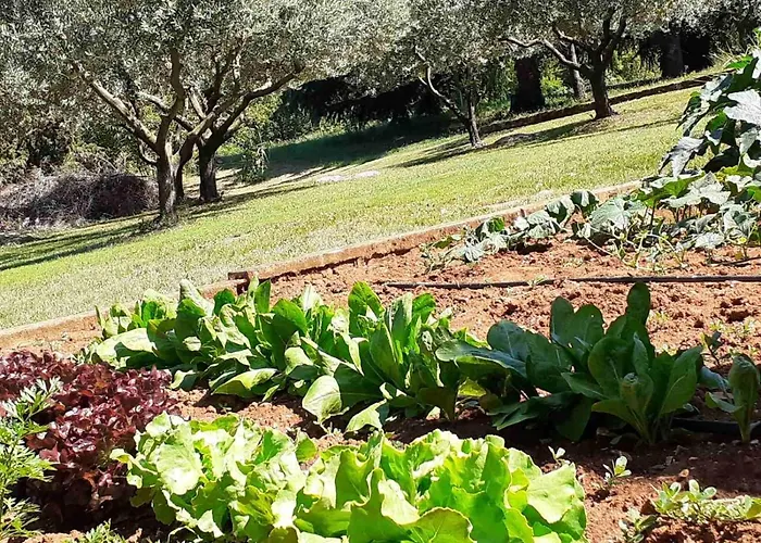 Appartement Bowie & Morgan *