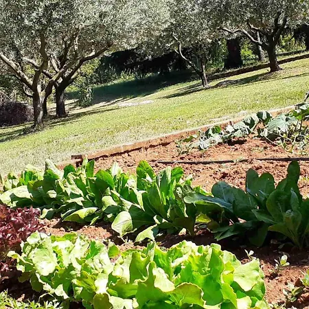 アパート Bowie & Morgan *