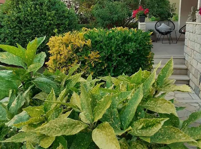 Lejlighed Bowie & Morgan Poreč