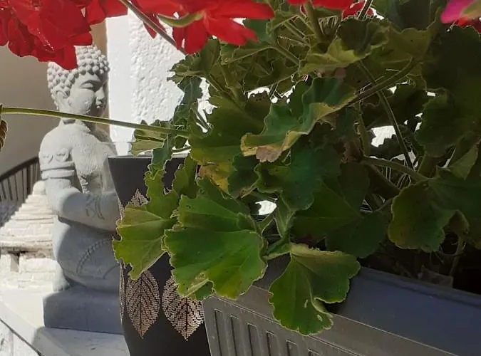 Apartamento Bowie & Morgan *