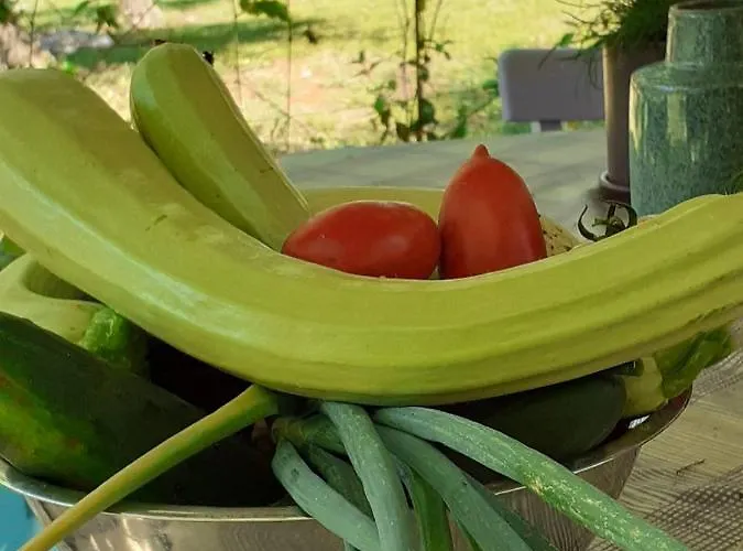 Bowie & Morgan Πόρετς