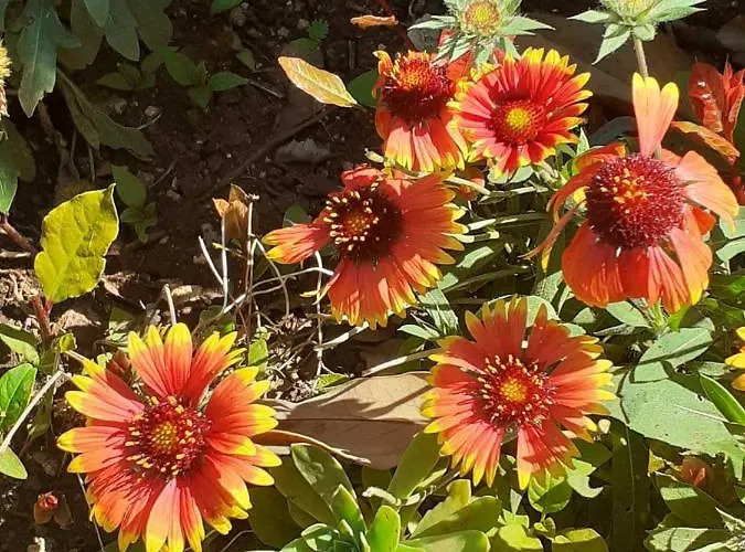 Bowie & Morgan Διαμέρισμα Πόρετς